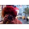 Цифровий фотоапарат Canon EOS R50 body Black (5811C029) зображення 7