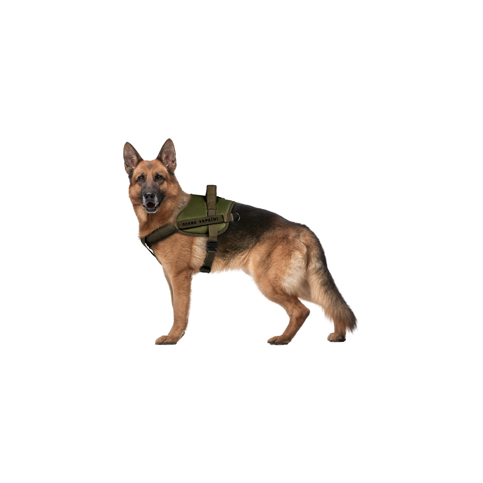 Шлей для собак WAUDOG PRO металлический фастекс L В 70-100 см хаки (689331) изображение 5