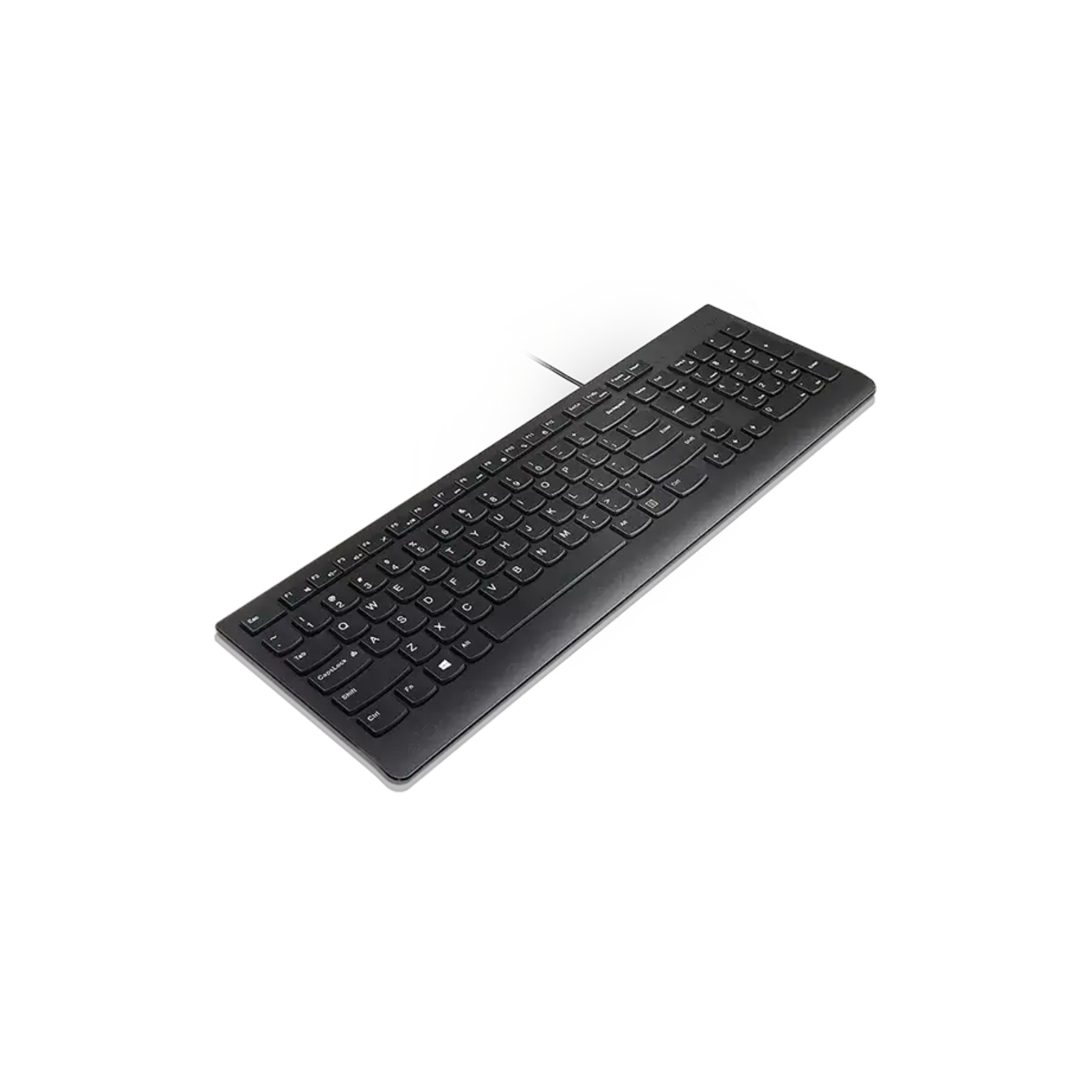 Клавіатура Lenovo Essential USB UA Black (4Y41C75141) зображення 3
