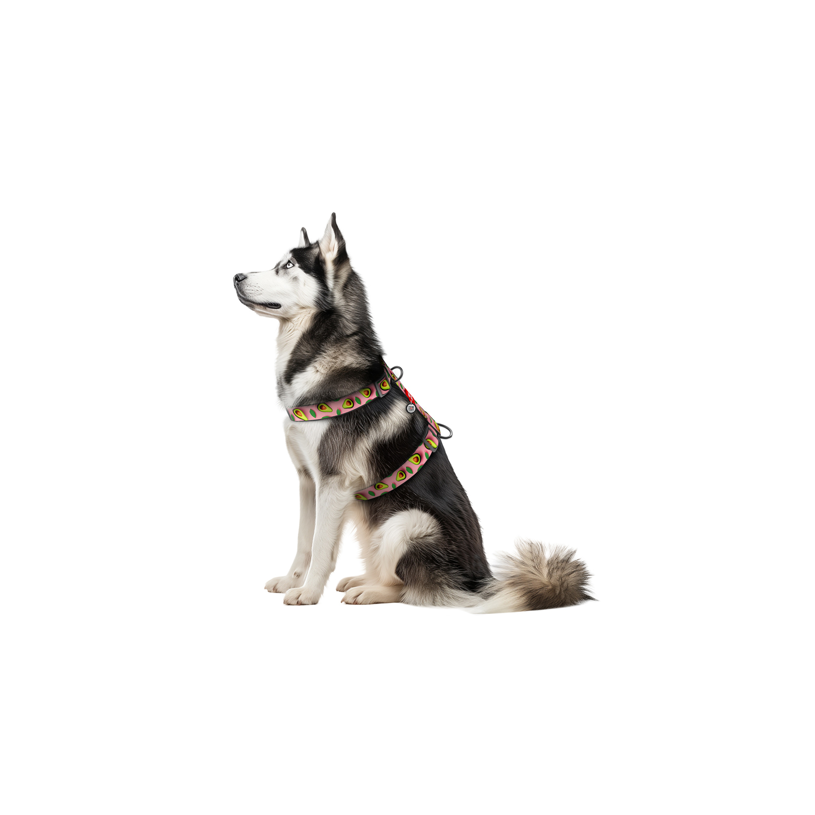Шлея для собак WAUDOG Nylon з QR-паспортом анатомічна H-подібна "Авокадо на рожевому" пластиковий фастекс XL (323-4051) зображення 3