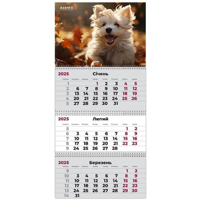 Календарь Axent настенный квартальный 2025 год 3 пр. Dogs 3 (8803-25-18-A)