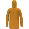 Куртка Salewa Fanes 2L PTX Parka Wms 28671 7020 42/36 S (013.012.0576) зображення 2