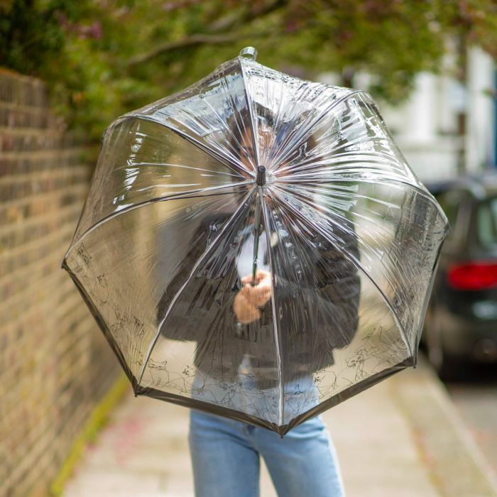 Зонт Fulton L042-040546 Birdcage-2 Butterfly Dream (L042-040546) изображение 4