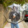 Парасоля Fulton L042-041215 Birdcage-2 Cats (L042-041215) зображення 4