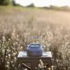 Чайник туристичний Tribe Kettle Alu 1 л алюмінієвий (T-FI-0013-grey) зображення 11