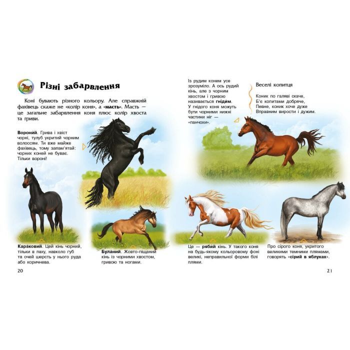 Книга Коні. Енциклопедія дошкільника - Юлія Каспарова Ранок (9786170977816) зображення 3