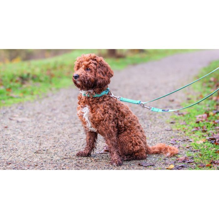 Нашийник для тварин Trixie Premium S 25-40 см 15 мм світло-рожевий (4053032671133) зображення 3