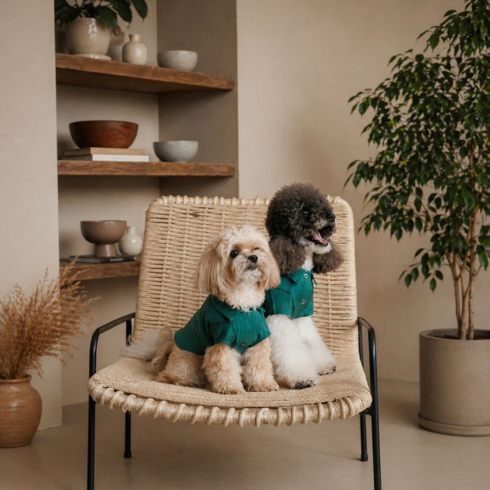 Футболка для тварин Pet Fashion Seaman ХS (4823082446186) зображення 4