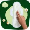 Гігієнічні прокладки Naturella Classic Night 7 шт (4015400437543) зображення 4