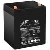 Батарея к ИБП Ritar AGM RT1245, 12V-4.5Ah, Black (RT1245B)