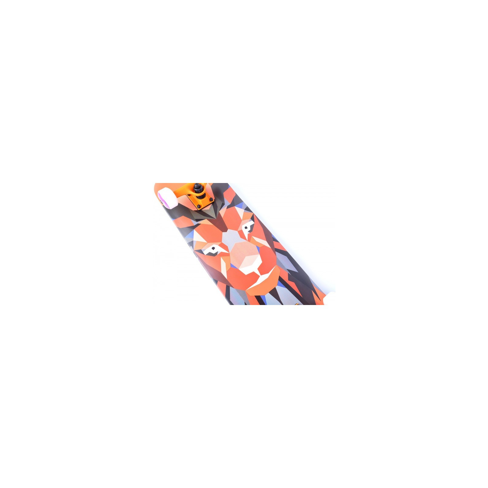 Скейтборд Tempish Lion/Orange (106000043/Orange) зображення 3