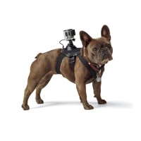 Аксессуар к экшн-камерам GoPro Fetch (ADOGM-001) изображение 2