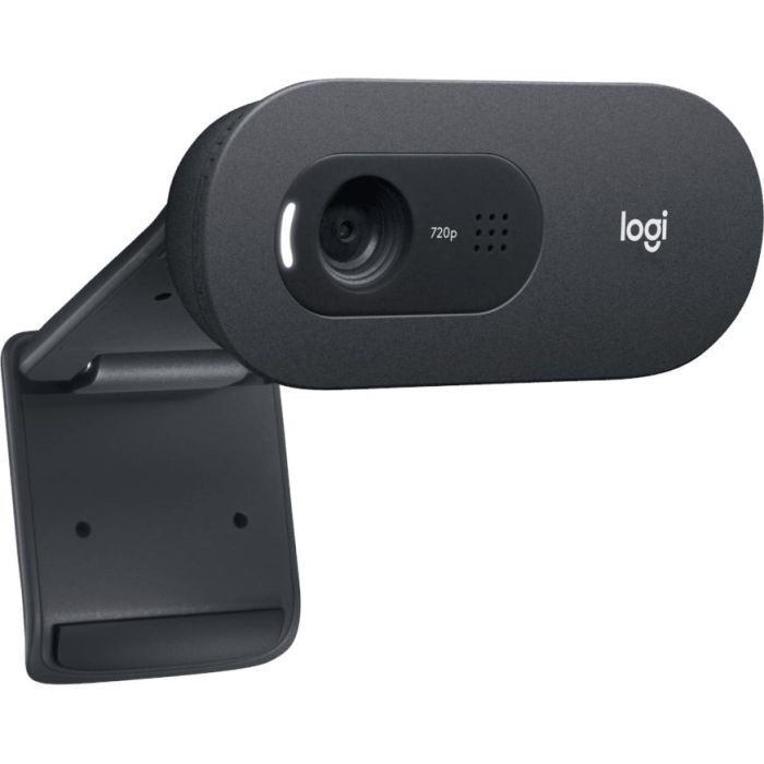 Веб-камера Logitech C505e HD (960-001372) изображение 3