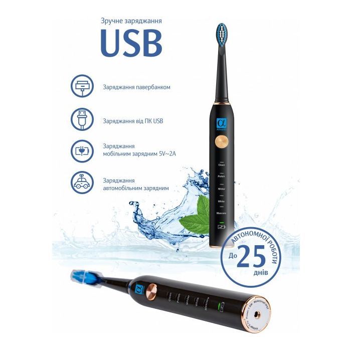 Електрична зубна щітка AHealth SMART SONIC SMILE 1 black (AHsss1b) зображення 3