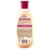 Шампунь Garnier Botanic Therapy Касторовое масло и Миндаль 400 мл (3600541989429) изображение 2