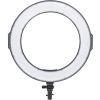 Набір блогера PowerPlant Ring Light RL-288A LED (RL288A)