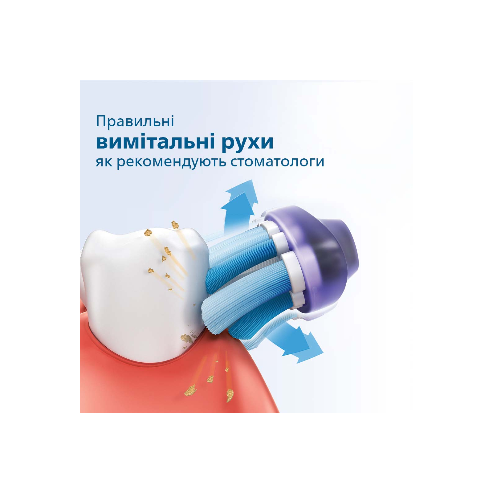 Электрическая зубная щетка Philips HX3675/15 изображение 4