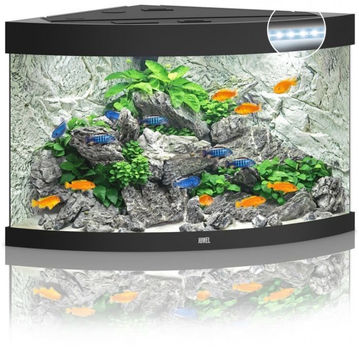 Акваріум Juwel Trigon 190 LED 99x60x70 см 190 л кутовий (дуб) (4022573168501)