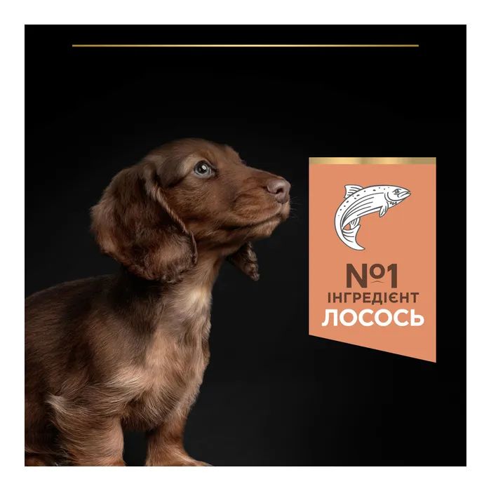 Сухой корм для собак Purina Pro Plan Small&Mini Puppy Sensitive Skin с лососем 3 кг (7613035123809) изображение 7