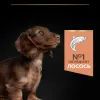 Сухой корм для собак Purina Pro Plan Small&Mini Puppy Sensitive Skin с лососем 3 кг (7613035123809) изображение 7