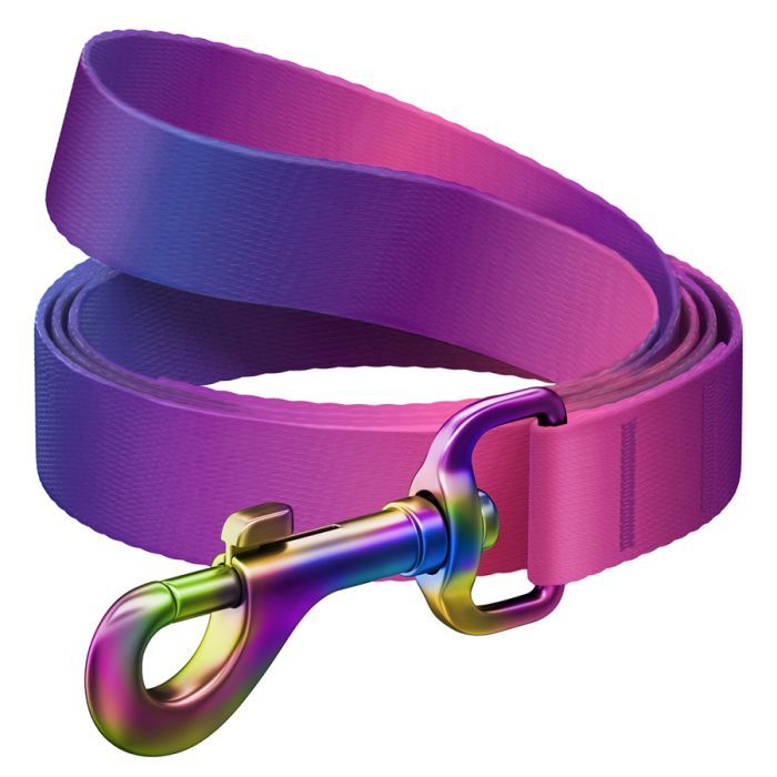 Повідець для собак WAUDOG Nylon Recycled градієнт S фіолетовий (46629)