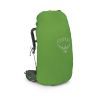 Рюкзак туристический Osprey Kestrel 58 bonsai green L/XL (009.3308) изображение 5
