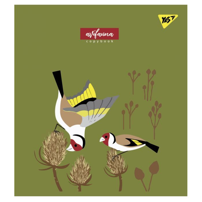 Зошит Yes А5 Avifauna 12 аркушів клітинка (766791) зображення 2