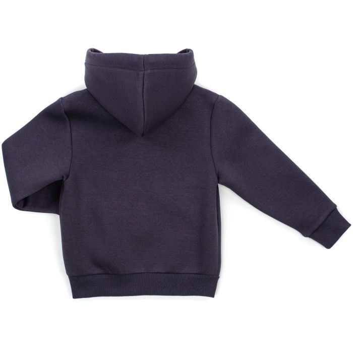 Кофта дитяча Cloise флісова (CL0125009-104-gray1) зображення 2