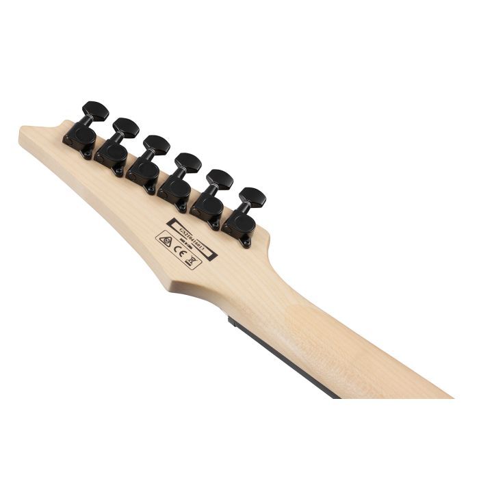 Электрогитара Ibanez GRG120QASP-BGD (234183) изображение 7