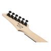 Электрогитара Ibanez GRG120QASP-BGD (234183) изображение 7