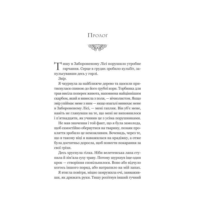 Книга Руїна троянд - К. Ф. Брін Vivat (9786171707238) изображение 3