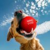 Іграшка для собак WAUDOG Fun Red Ball 70 мм (6001) зображення 5