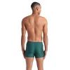 Плавки Arena Bright Glare Swim Short 008941-601 зелений, білий 100 (3468337533870) изображение 2