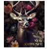 Тетрадь Школярик The New Ambience 96 листов клетка (096-3371K) изображение 4