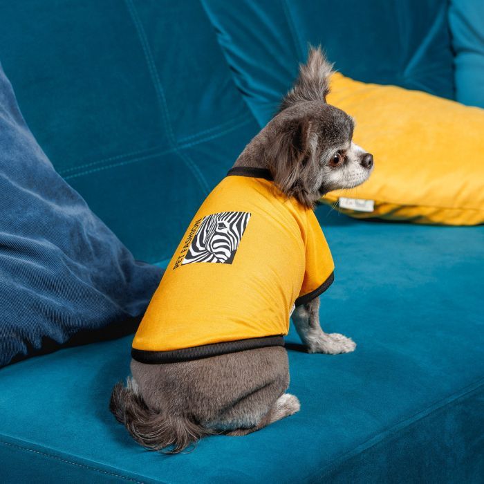 Футболка для тварин Pet Fashion Jessica XS жовта (4823082441297) зображення 4