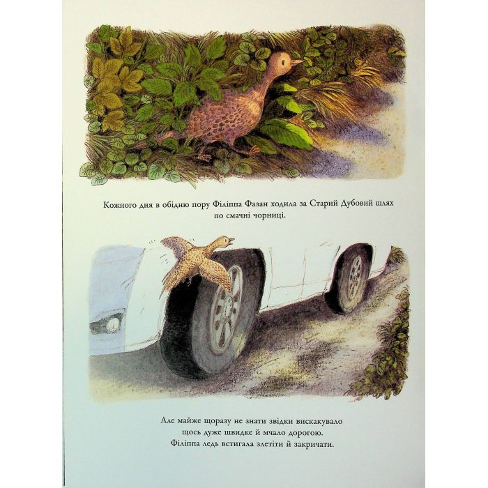 Книга Корисний подарунок для Філіппи Фазан - Брайоні Мей Сміт Ранок (9786170999382) зображення 6