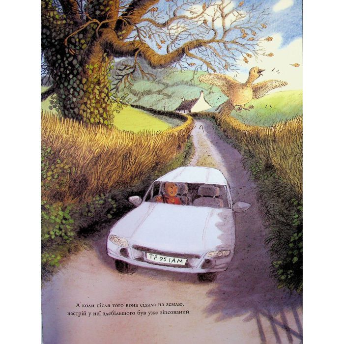 Книга Корисний подарунок для Філіппи Фазан - Брайоні Мей Сміт Ранок (9786170999382) зображення 7