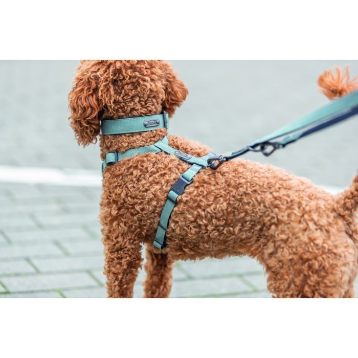 Поводок для собак Trixie CityStyle V-Lead хлопок S–M 2 м 13 мм светло-зеленый (4053032681682) изображение 2