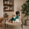 Футболка для тварин Pet Fashion Seaman ХS2 (4823082446216) зображення 4