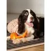 Игрушка для собак Cheerble Wicked Ball Rolly (Bright Orange) (CWQ07O) изображение 6