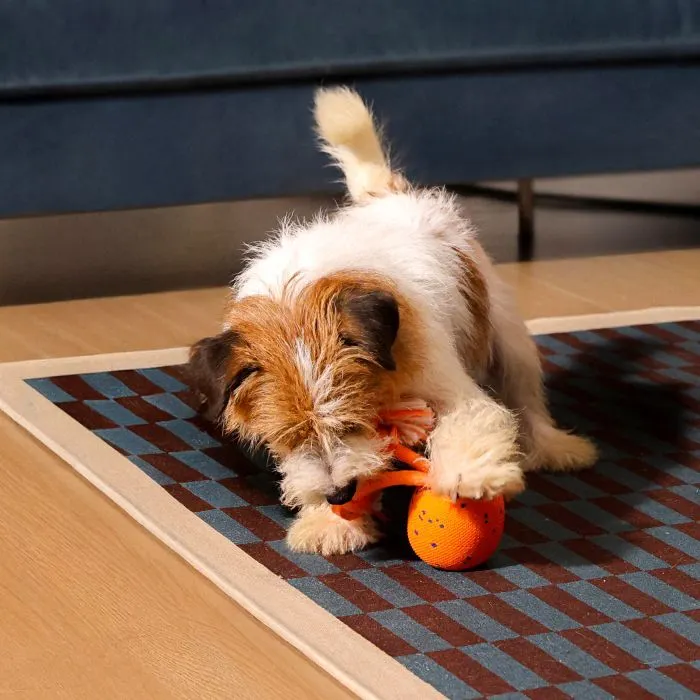 Игрушка для собак Cheerble Wicked Ball Rolly (Bright Orange) (CWQ07O) изображение 7