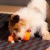 Игрушка для собак Cheerble Wicked Ball Rolly (Bright Orange) (CWQ07O) изображение 9