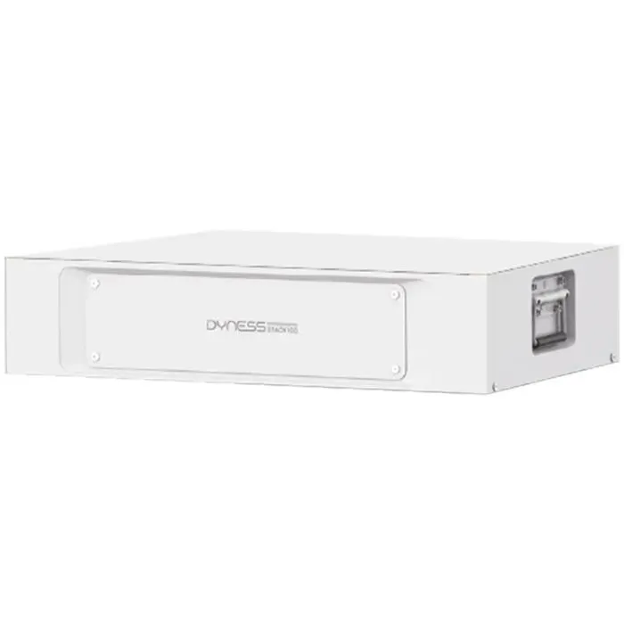 Батарея LiFePo4 Dyness STACK100 S51100 51.2V 100Ah 5.12kWh без BMS (S51100)