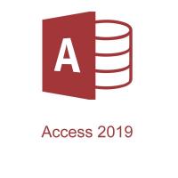 Офисное приложение Microsoft Access 2019 RUS OLP NL Acdmc (077-07229)