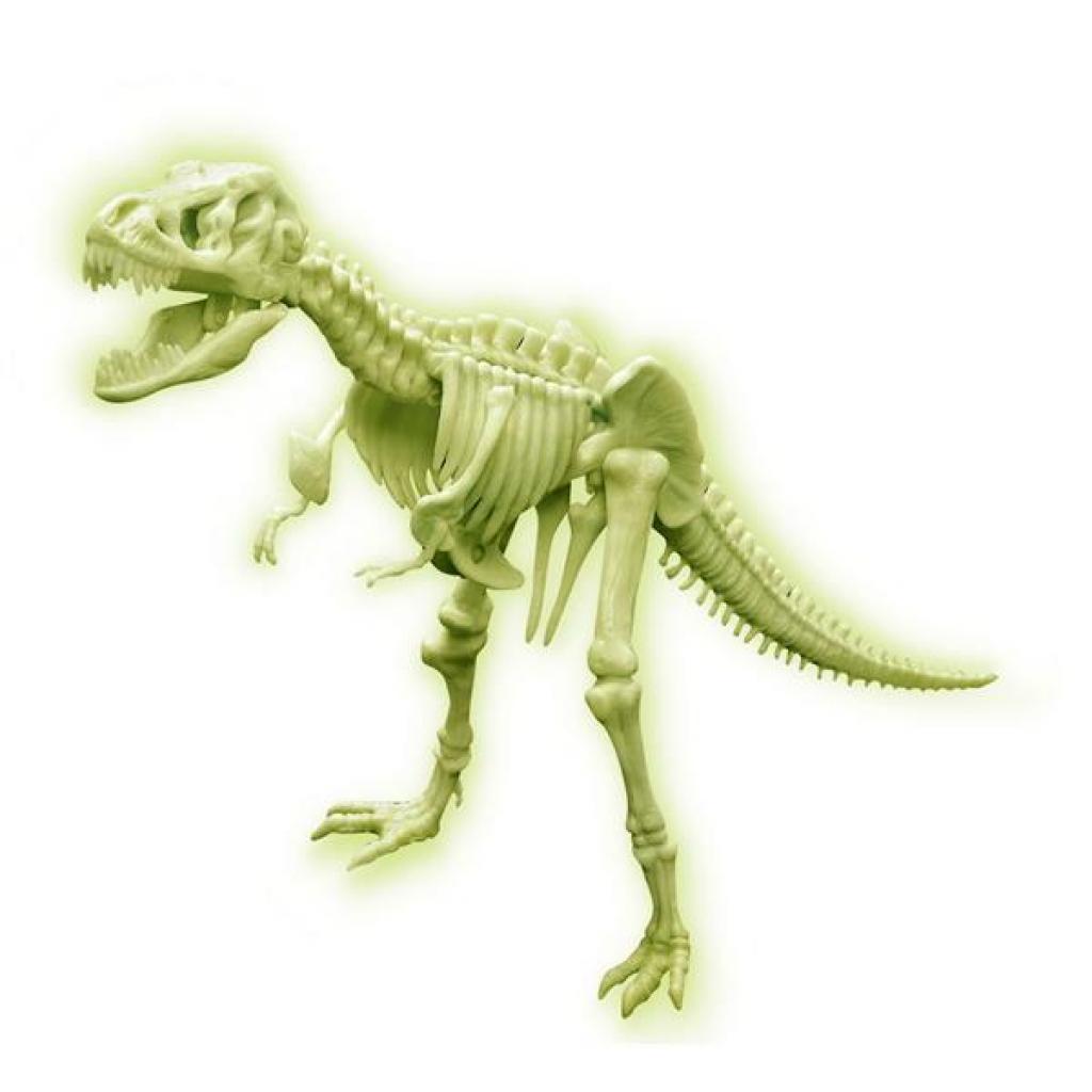Набір для експериментів 4М Світиться скелет тиранозавра (00-03420) зображення 2