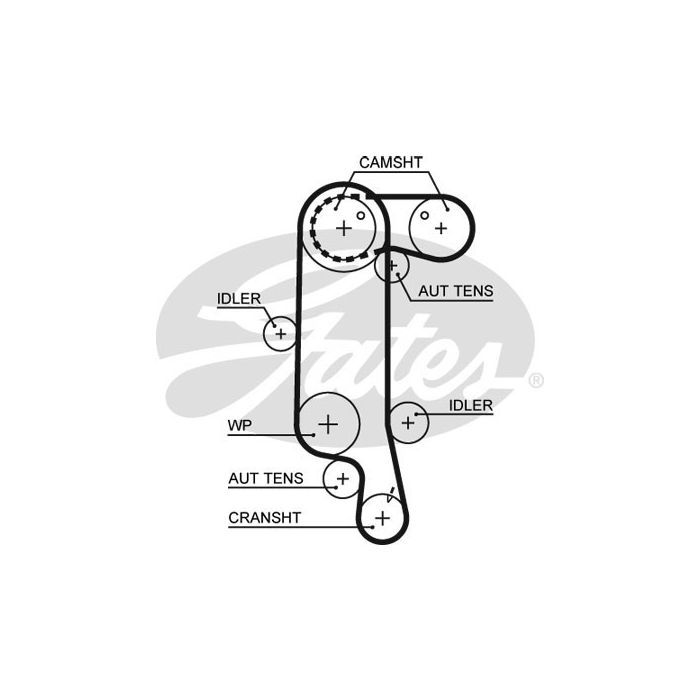 Ремінь ГРМ Gates 5565XS