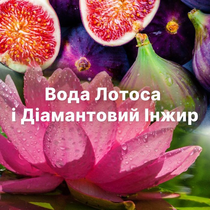 Кондиционер для белья Lenor Бриллиантовый инжир и вода лотоса 1200 мл (8006540909300) изображение 7