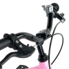 Детский велосипед Royal Baby Chipmunk MOON 14", Магний, OFFICIAL UA, розовый (CM14-5-pink) изображение 3