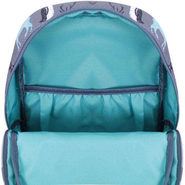 Рюкзак школьный Bagland Молодежный Mini 740 Cублимация 8 л (00508664) (675711845) изображение 3