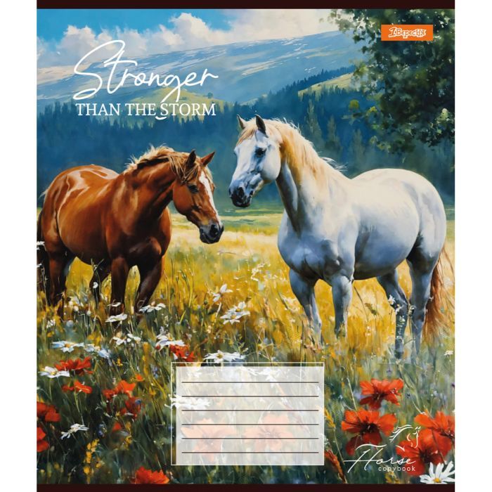 Тетрадь 1 вересня 1В Stronger than the storm 36 листов линия (767350) изображение 3